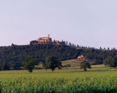 Un panorama di Castello Banfi