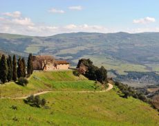 Tenuta San Giorgio