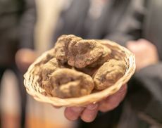 Un prelibato tartufo