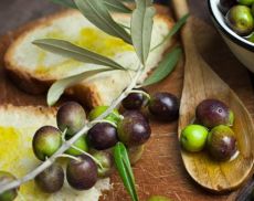Montisi si prepara a celebrare l'olio