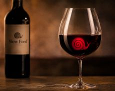A Terra Madre 2026, il legame tra vino italiano e Slow Food