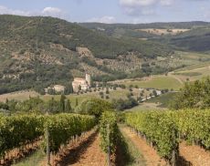 L’Abbazia di Sant’Antimo ed i suoi vigneti
