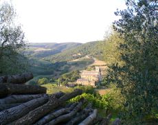 L’Abbazia di Sant’Antimo