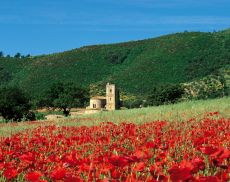 L’Abbazia di Sant’Antimo