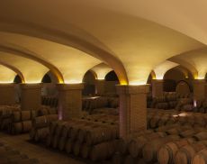 Castiglion del Bosco