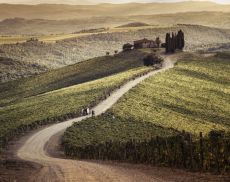 Castiglion del Bosco