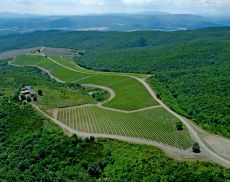 Castiglion del Bosco
