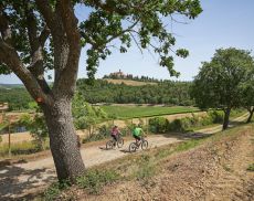 Castello Banfi