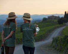 Castiglion del Bosco