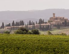 Castello Banfi