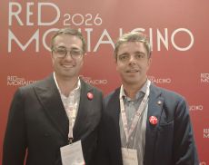 Bartolommei Ascheri Red Montalcino