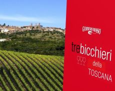 “I vini della Toscana puntano sulle differenze, non più sulla potenza”. Tra i “Tre Bicchieri”, 16 le etichette di Montalcino