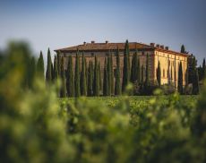 Suggestivo colpo d’occhio tra le campagne di Montalcino